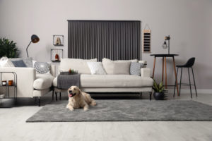Investícia do štýlu: ako si vybrať moderný koberec do obývačky
